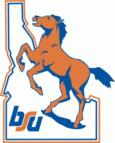 Boise State Broncos 1974-2001 Primary Logo diy fabric transfer